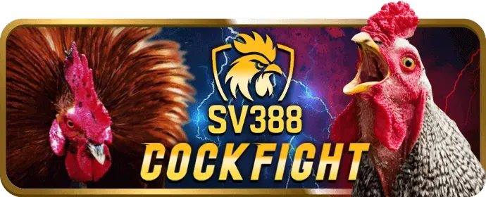 Chương trình VIP độc quyền 66vn app